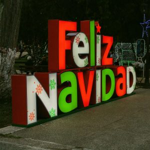 Fiesta Navideña