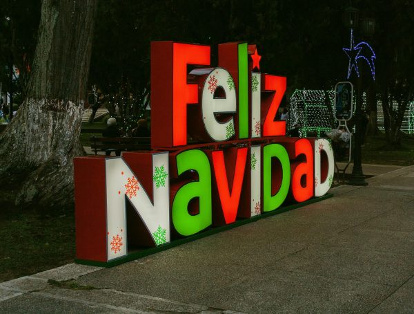 Fiesta Navideña